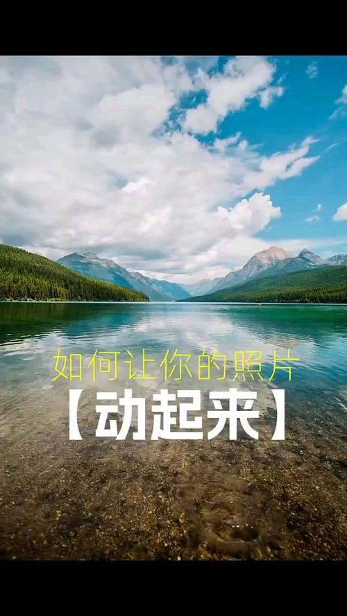 让照片动起来的软件免费图2