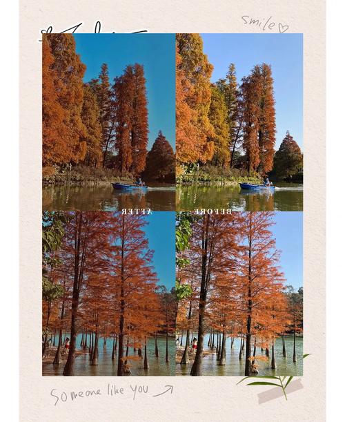 手机拍的照片如何调色