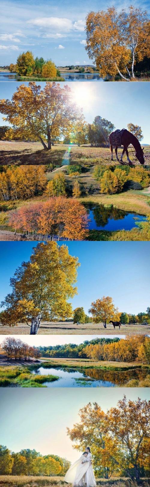 拍风景用什么手机软件比较好?