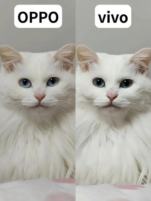 3000以内后置拍照手机最强是哪款手机?为何这么说?