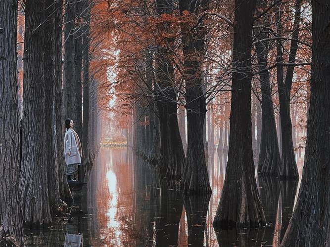 水印相机拍照未保存怎么办图2