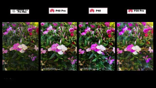 华为P40手机如何拍照更好?