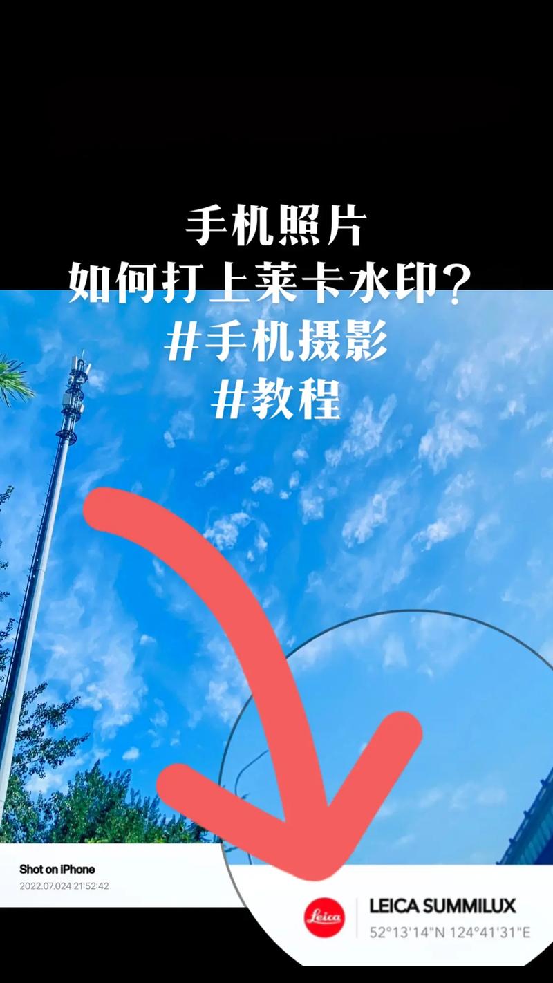 下载了水印手机怎么使用