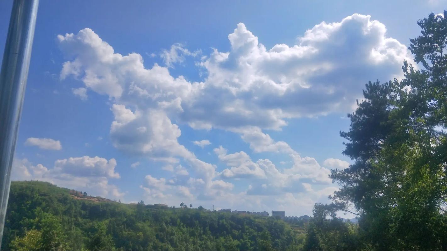 oppo照相机恢复到桌面图3