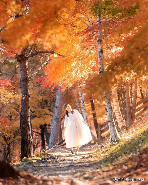 手机摄影技巧与拍摄方法图3