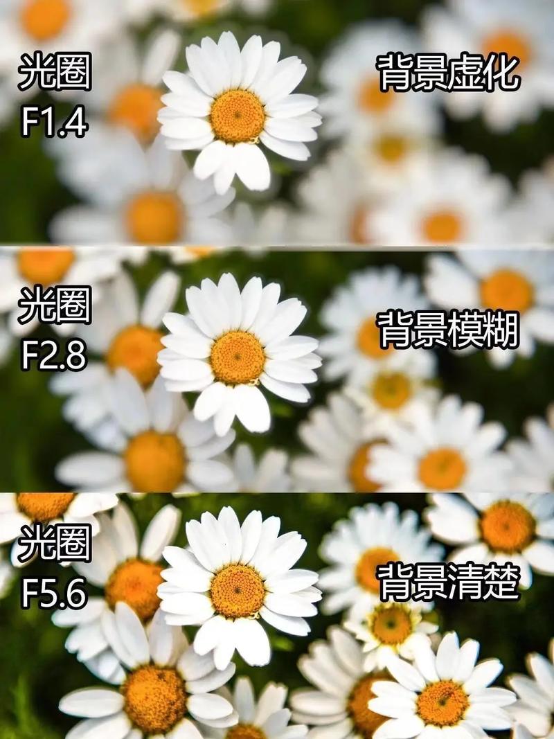 拍照背景图片大全高清图2