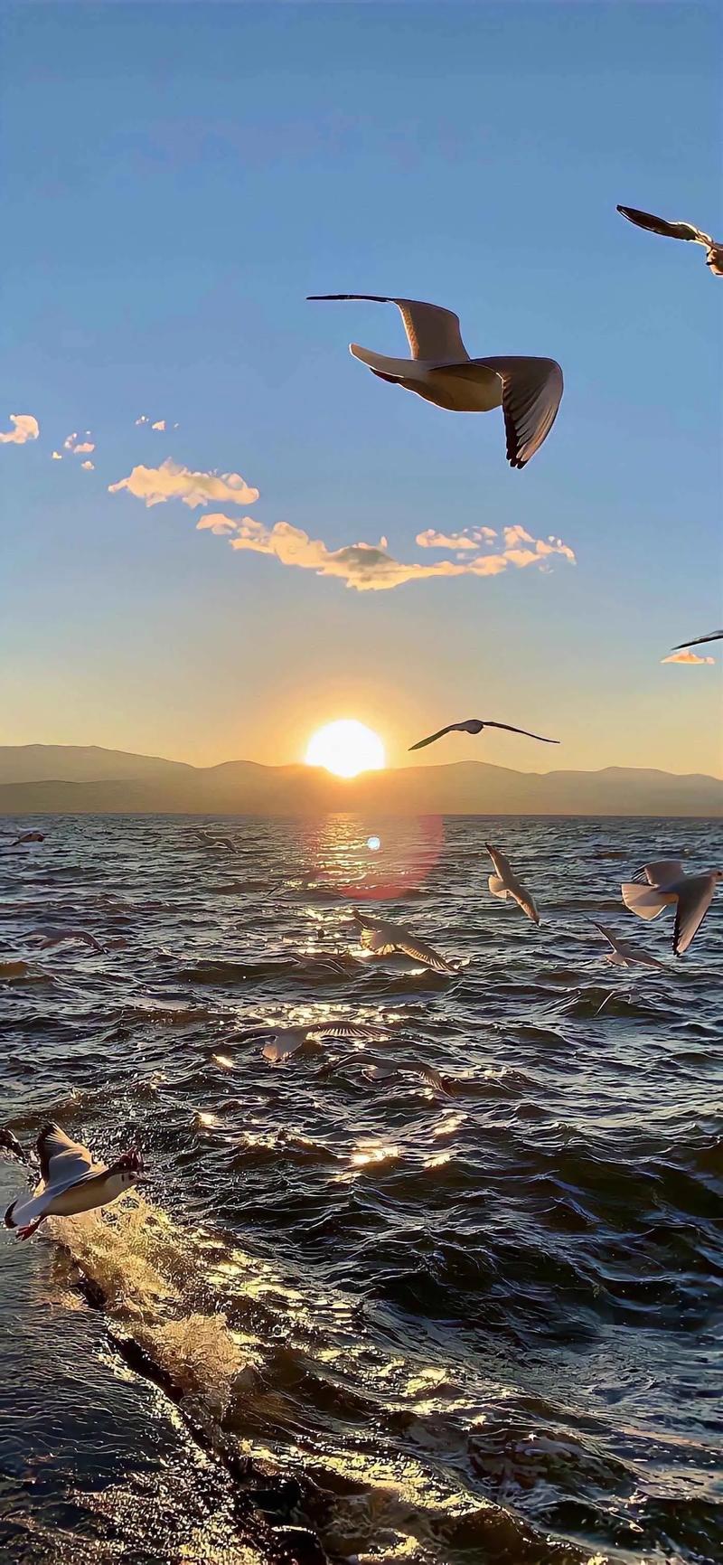 求第一张聊天截图的背景图片,求第二、三两张图片的高清版