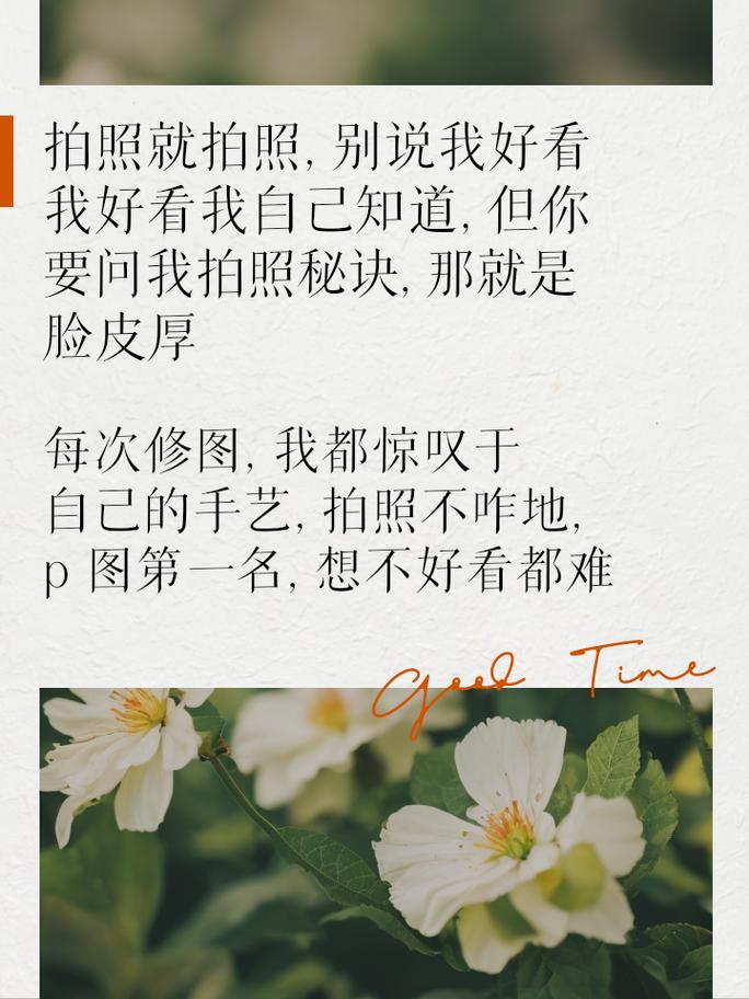 拍照角度搞笑文案图2