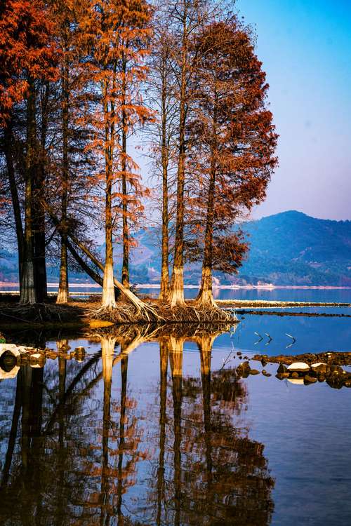 拍照背景图片素材高清图1