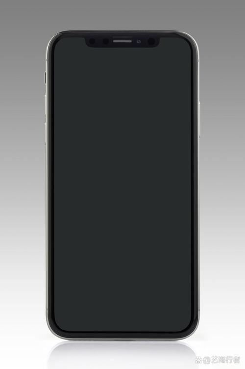 苹果手机照相机黑屏了