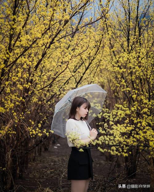 拍照角度的选择图1