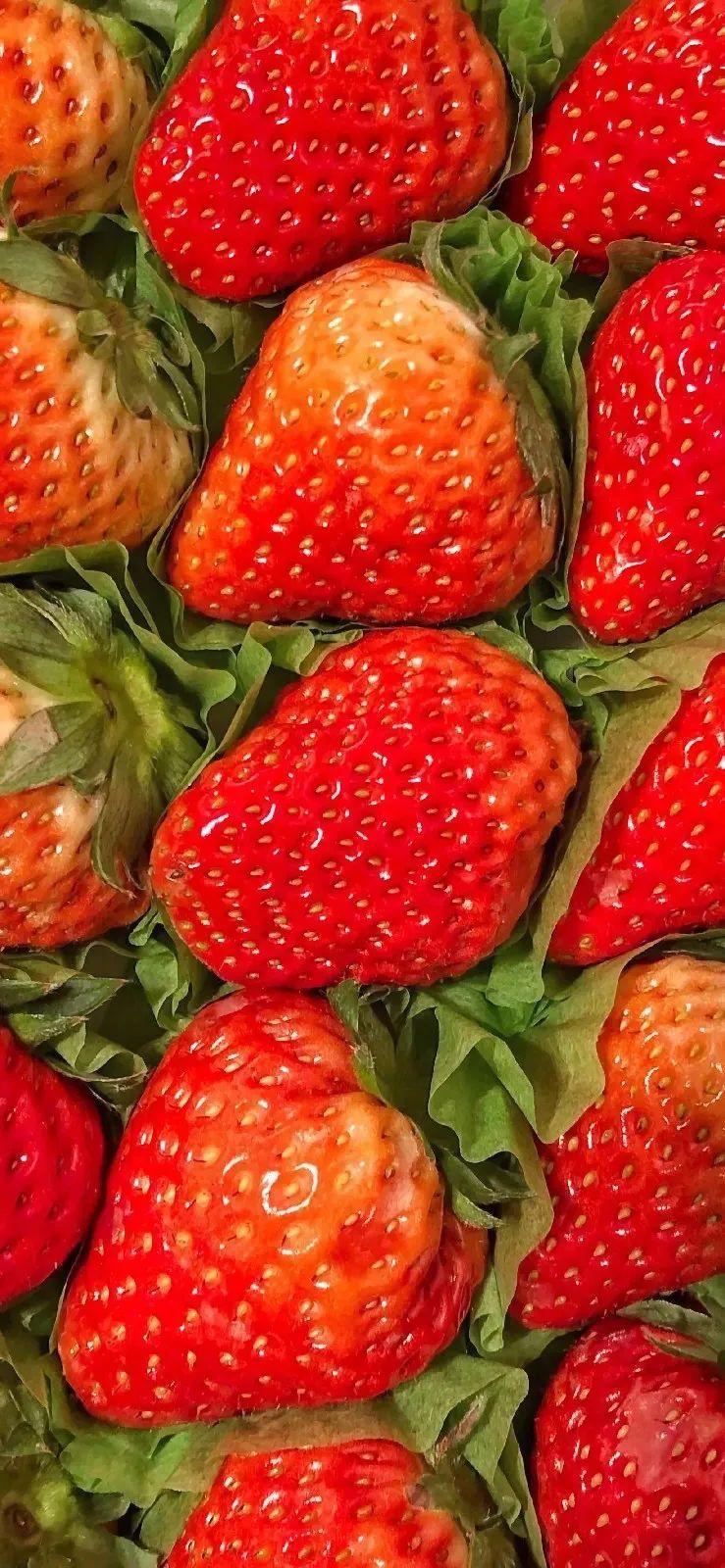 最适合拍短视频的手机图3