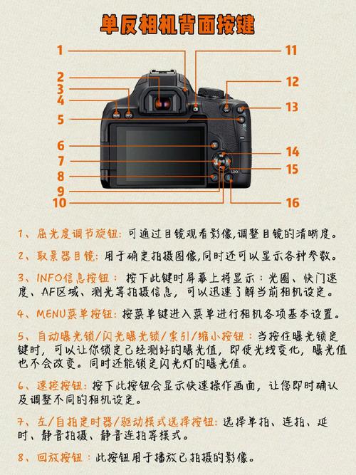 儿童相机按键没反应图2