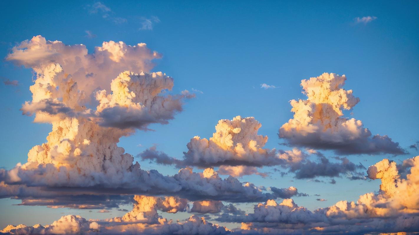 拍照背景图片简约图3