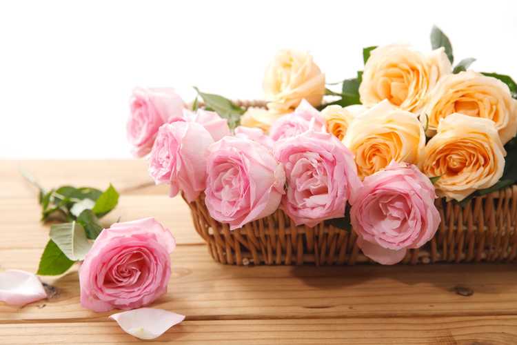 如何拍花束才好看图片