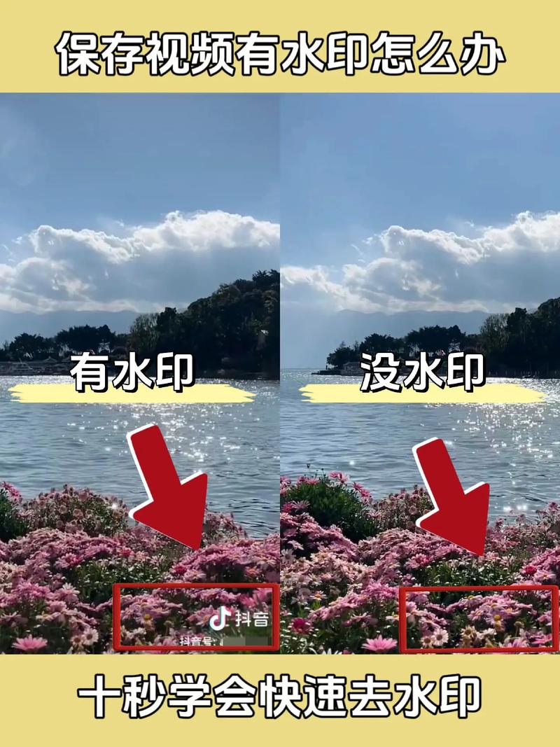 水印相机拍照不清晰怎么回事呀图1