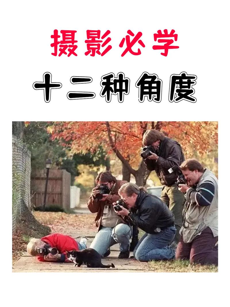 拍摄角度不同的图片图3