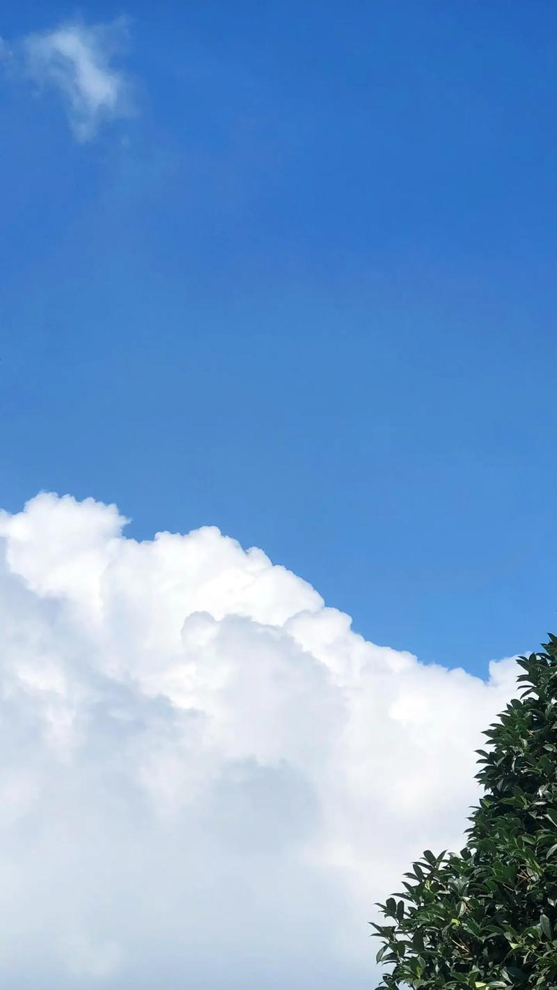 拍照背景图片壁纸大全图3