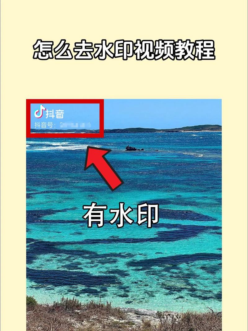 今日水印相机拍的照片去水印怎么操作图3