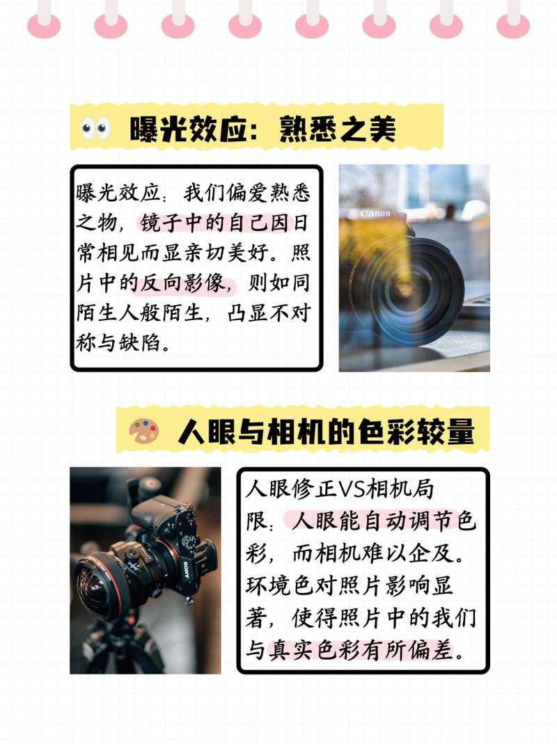 该相信镜子还是原相机图1