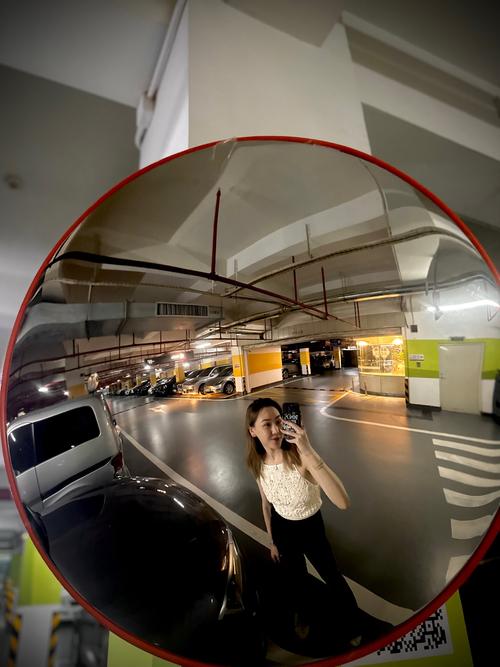 该相信镜子还是原相机图2