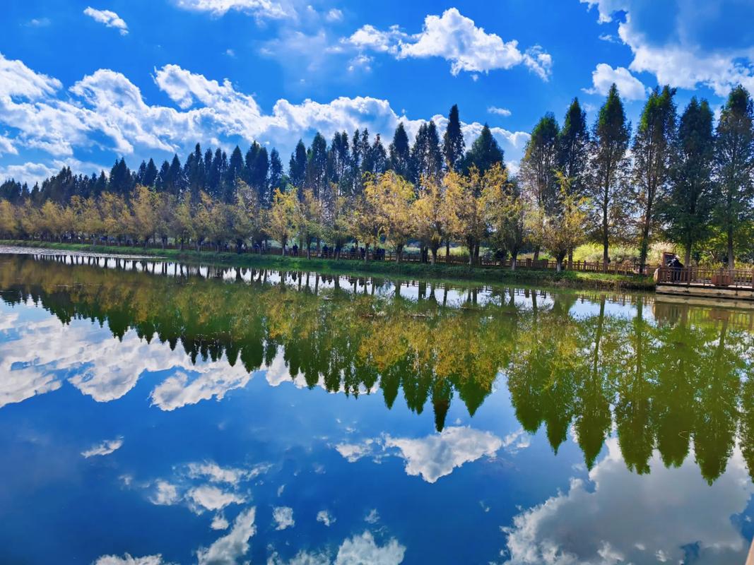 手机拍风景照怎么拍才好看呢图2