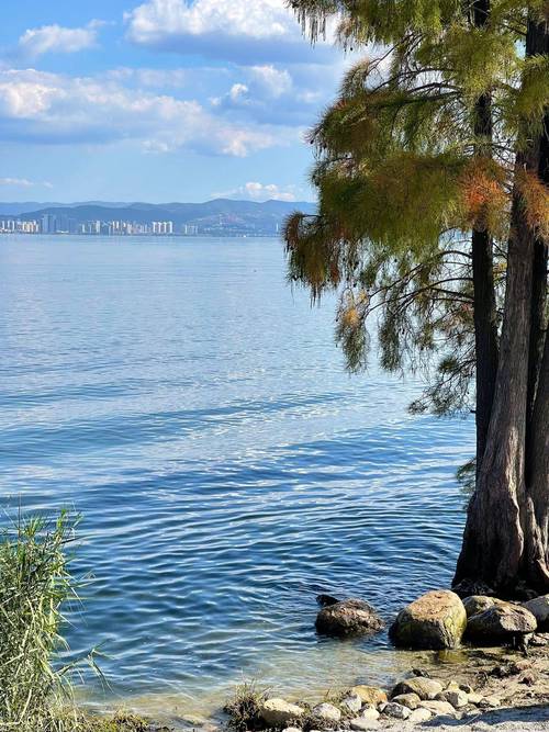 苹果手机拍景色技巧