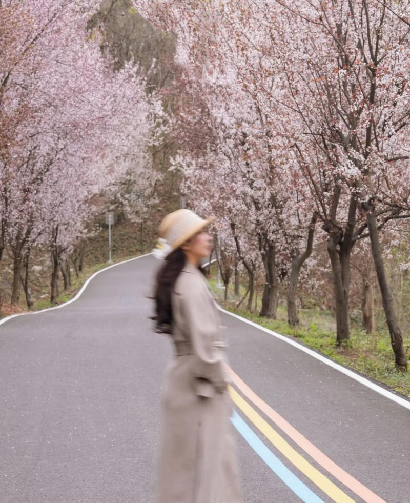 怎样提高手机拍摄照片的像素图2