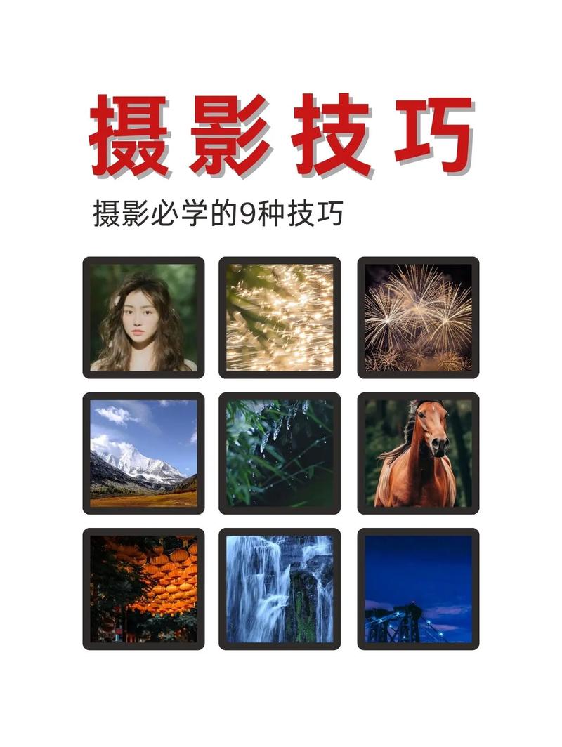 拍照技巧入门角度怎么调图3