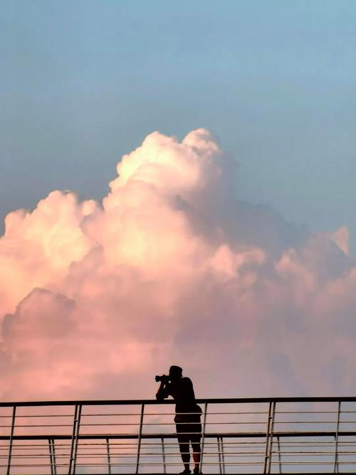 手机拍照片怎么拍出高级感