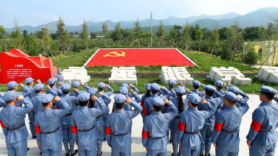 入党誓言照片怎么拍