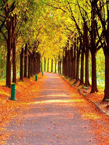 拍照背景用什么材质比较好图2