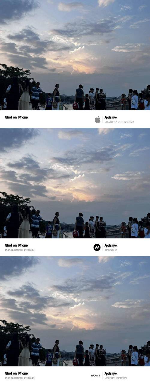 今日水印相机不同步本地相册图2