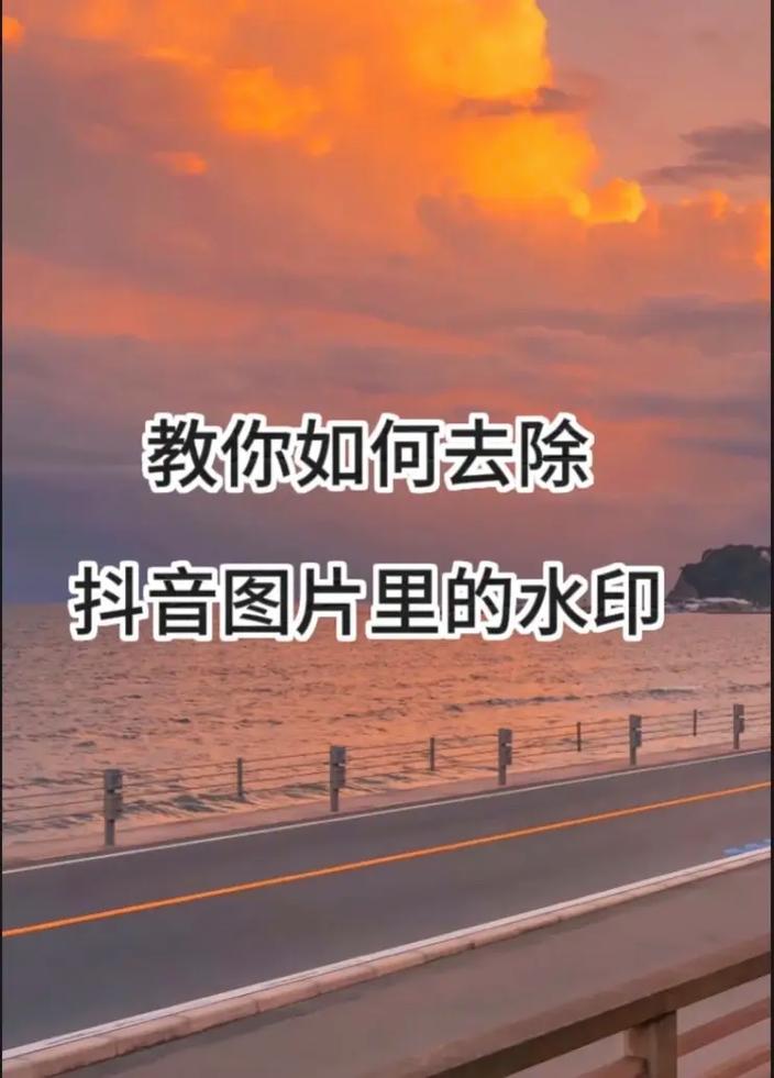 今日水印相机拍照不保存相册怎么设置权限图3