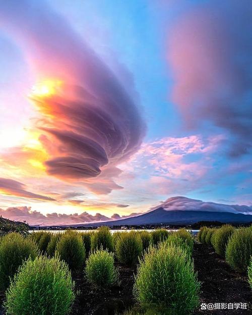 手机拍照风景照技巧图2