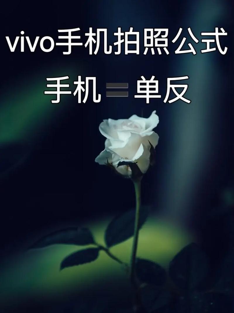 手机拍照带日期和时间的怎么设置vivo图3