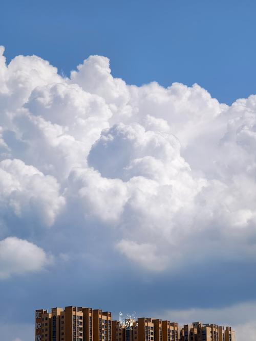 拍照视频什么手机好图2