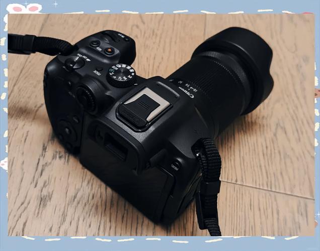 单反相机在年轻消费者中的用户研究