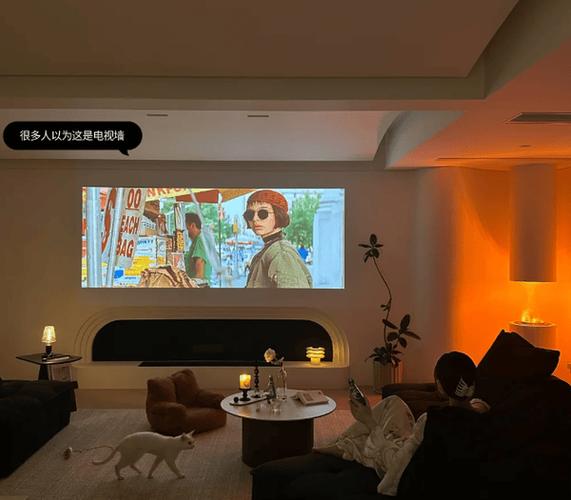 投影仪背景照片图3