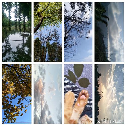 oppor15拍照怎么进行背景虚化