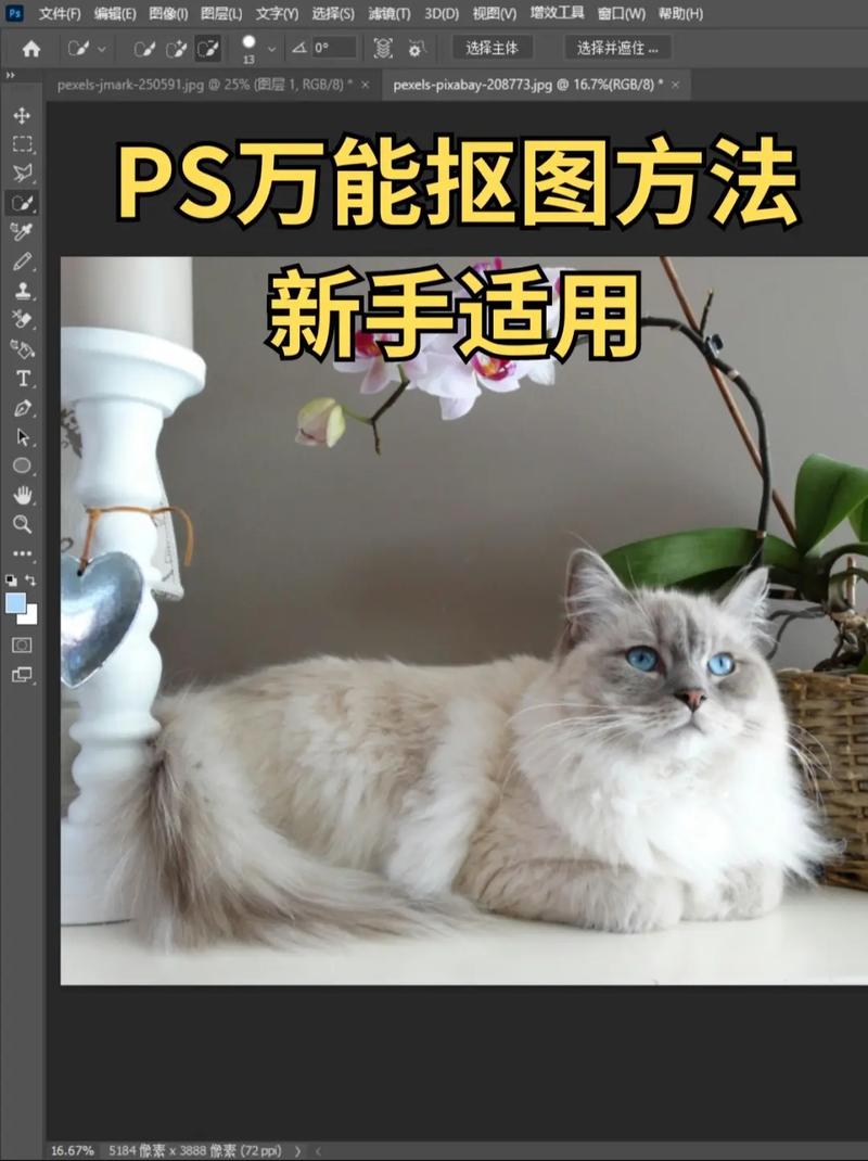 photoshop怎么抠图换背景