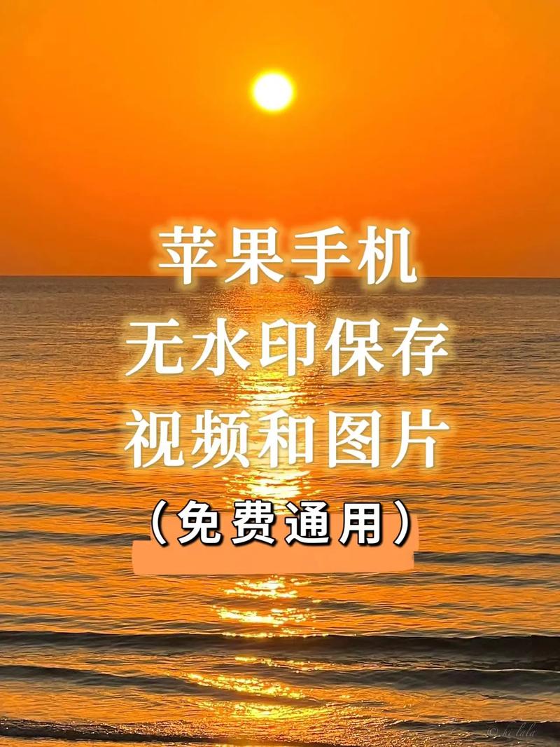 今日水印相机bug图3