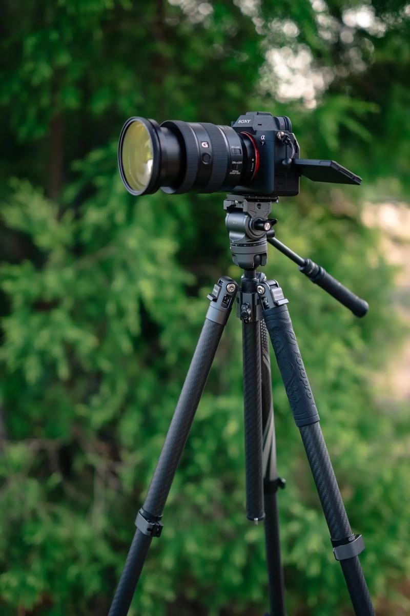 现在的手机拍照相当于什么单反图1