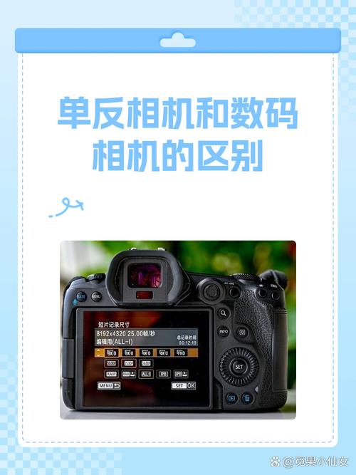 单反相机和手机拍照有多大区别???