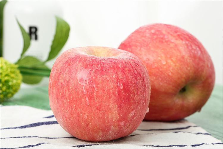 iphone什么手机拍照好看图2