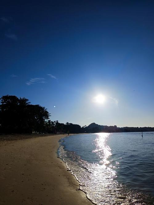 哪一款手机拍照比较好?图1