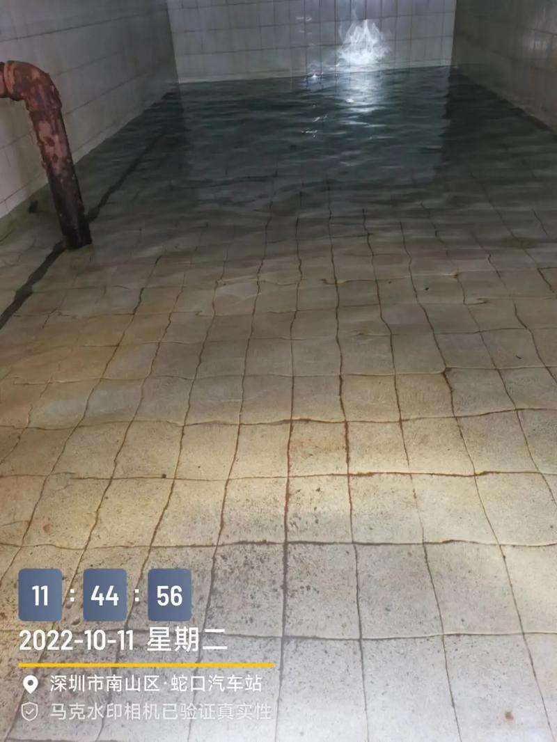 马克水印相机拍的照片不进入相册