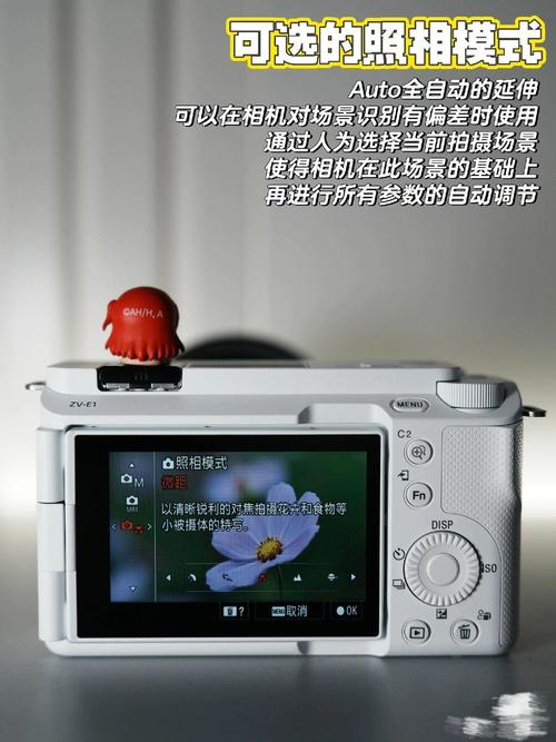 索尼相机怎么用手机拍摄图2