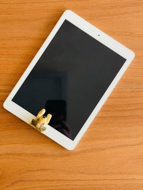 苹果ipad九代平板美颜怎么关