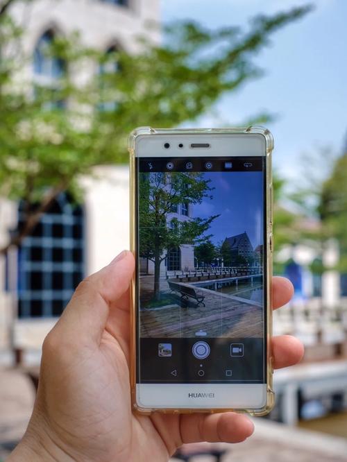 拍摄花卉用什么手机好图2